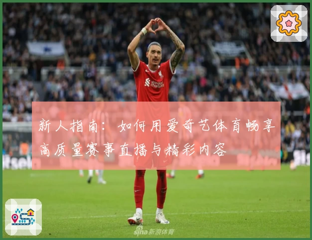 新人指南：如何用爱奇艺体育畅享高质量赛事直播与精彩内容