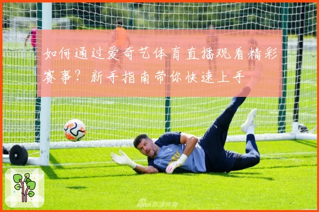如何通过爱奇艺体育直播观看精彩赛事？新手指南带你快速上手