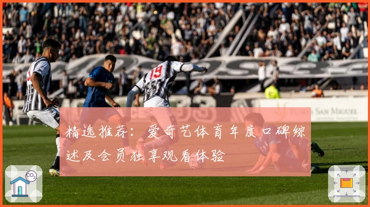 精选推荐：爱奇艺体育年度口碑综述及会员独享观看体验